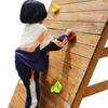 Rock Climbing Holds with Mounting Screw Holds Up To 230Lbs Kids Adults Rock Wall Holds