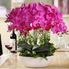 97cm Orchids Artificial Flowers 6 PCS Faux Orchid Velvet Orchids Real Look Long Stem Artificial Flowers for Tall Vase for Home Wedding Decoration