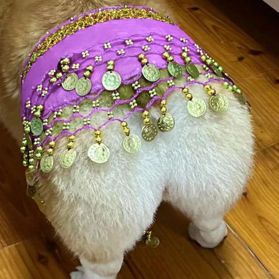Dog Belly Dance Costume Corgi Dog Waist Chain Butt Curtain Clothes with