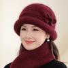 Autumn and Winter Hats Women's Wool Hats Fleece Cold-proof Cotton Basin Hats Knitted Hats