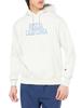 Champion COTTON USA Collegiate Graphic Print Pullover Hooded Size Size L Men's Fleece-Lined Sweatshirt, Basic, C3-X113, Oatmeal,