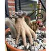 Funny Horror Hand Concrete Flower Pot, Spooky Succulent Planter, Outdoor Garden Decor, Halloween Home Decor, Housewarming Gift