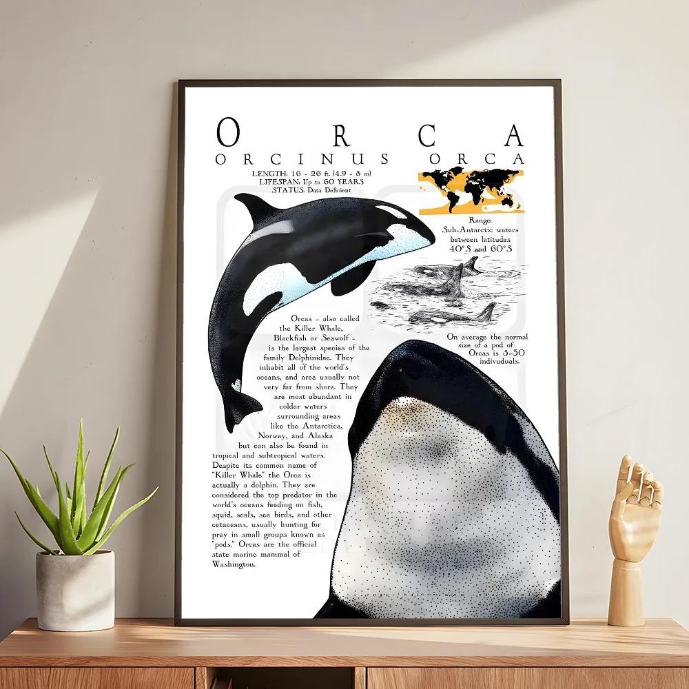 Whale and Shark Seashells Turtles Octopus Fish Marine Life Ocean Animals Poster and Print Canvas Painting Wall Art Home Living Room