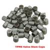 Wheel Tires Valves Tire Valve Stem Caps Tire Valve Cap Tyre Valve Dust Covers TPMS Tire Cap