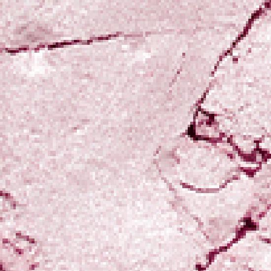 Naming Fluffy Baked Highlighter 5 Colors (+ Brush Free)