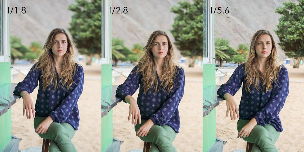 Canon Single Focus Lens EF50mm STM Full Size Compatible EF5018STM F1.8