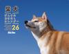 2026 Shiba Inu Cheerful Story Calendar