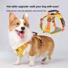 Dog Chest Harness With Nylon Material And Non Extendable Leash For Small Pets