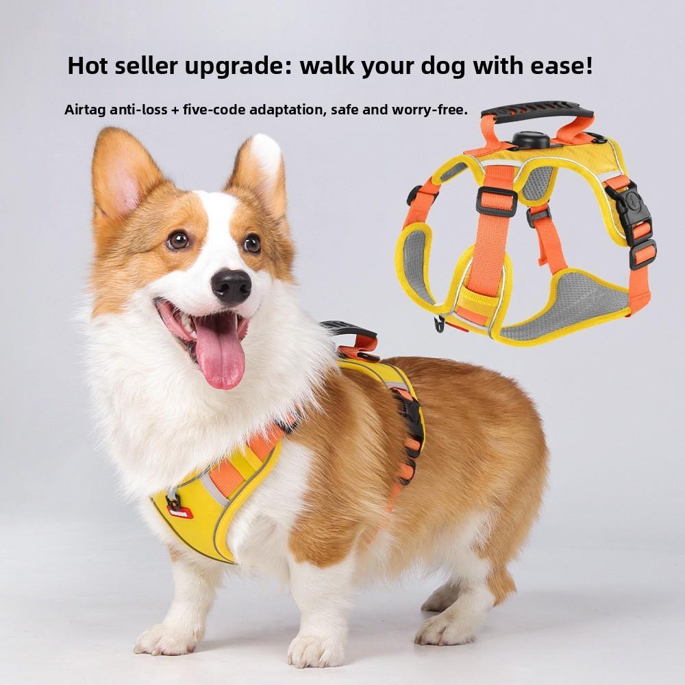 Dog Chest Harness With Nylon Material And Non Extendable Leash For Small Pets