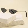 Cat Eye Shape Sun Glasses Women Vintage Style Korean Fashion Sunglasses For Men Model Show Performance Female Sunglass