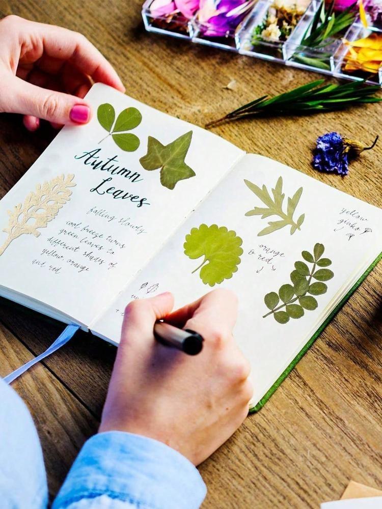 84 шт. сушеных листьев, прессованные цветы с пинцетом для форм из смолы, настоящая натуральная ассорти из сухой зелени для поделок, мыла, свечей, украшений для скрапбукинга