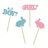 24 Cupcake Tops for Boys and Girls Blue Pink Bunny Baby Sex Reveal Party Decorations
