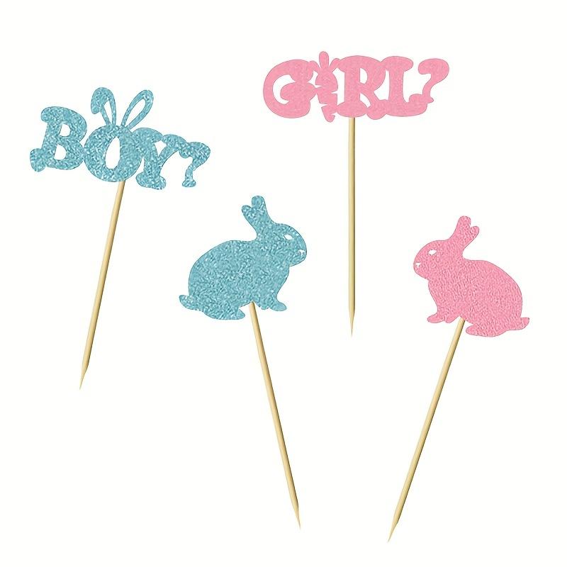 24 Cupcake Tops for Boys and Girls Blue Pink Bunny Baby Sex Reveal Party Decorations