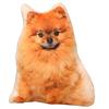 TOMMYFIELD Pomeranian Plush Toy, Realistic, Soothing, Fluffy 3D Stuffed Dog (Pomeranian) [Parallel Import]