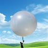 Giant Balloon Professional Weather 120inch 300g White Large Inflatable Ball for Anniversary,