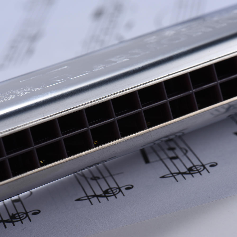 Suzuki W-24 24 отверстия губная гармошка тремоло тональность C с коробкой музыкальный инструмент для начинающих студентов