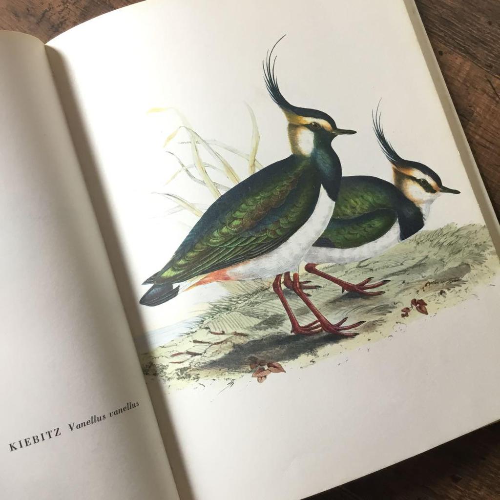 [Б/У] Иностранные книги, немецкие определители птиц, старые книги, винтажные книги