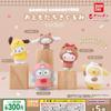 Костюм друга Sanrio полный Капсульная игрушка Гача ЯПОНИЯ JP Китти В/П