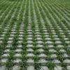 1Pcs 25x6cm Stepping Stone Paver Plastic Concrete Path Maker Mold  For Lawn Patio Yard Garden