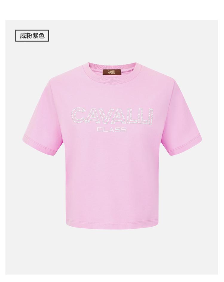 [Fashion Trend Letter Embroidery] Spring and Summer Slim Short Sleeved Spicy Girl Versatile Short Sleeve Round Neck Women's T-shirt