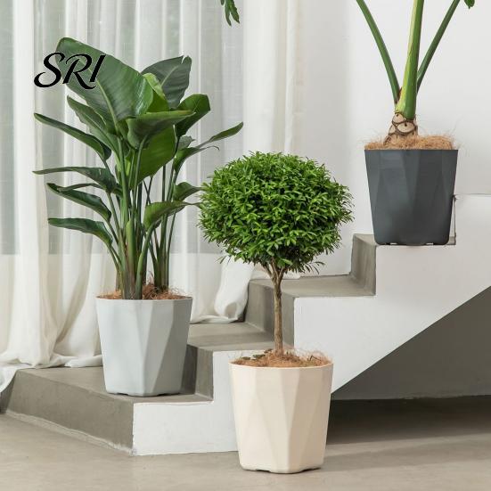 Contemporary Flower Pot Plant with Drainage Holes Decorative Planter Matching Saucer for Home Modern Indoor Outdoor Use Pothos Aloe