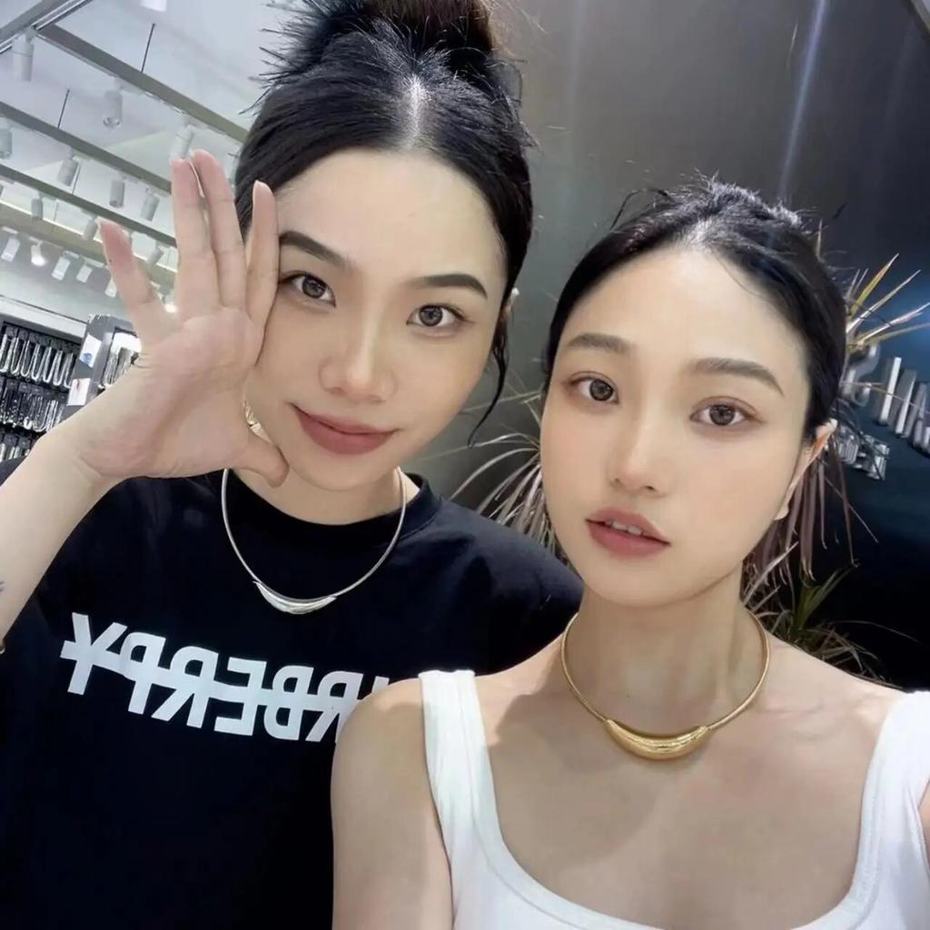 Французский ретро-дизайн, металлическая трубка, цепочка из змеиной кости, воротник-цепочка для женщин, преувеличенное ожерелье из нержавеющей стали, бесцветные украшения для девочек