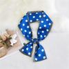 Pingjiao New Style Spring And Autumn Professional Decoration Versatile Small Silk Scarf Women'S Scarf Narrow Long Hair Strap Tie Bag Belt