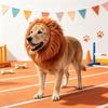 Pet Lion Costume Wig Hat With Ears Funny Novelty Headwear For Dog Birthday Holiday Cosplay Decoration