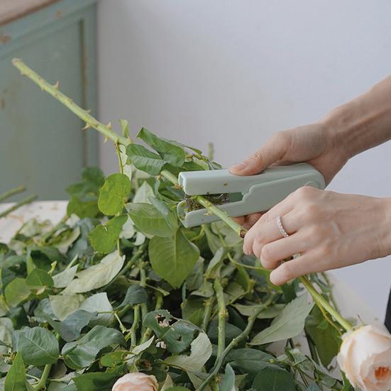 Машинка для зачистки шипов розы, автоматическая пряжка, паз для пальцев, портативные плоскогубцы для удаления шипов на стебле цветка, садовые принадлежности