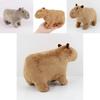 Capybara Plush Toy Soft And Cute Stuffed Animal For Kids And Adults