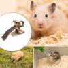 Spaciously Wood Hamster Swing Climbing Set Perfect for Ensuring Entertainment