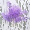 Plastic Floral Botanical Artificial Flowers For Wedding Home Decoration