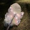 Dog Fairy Wings Light Up Butterfly Wings Pet Costume Embroidered Lights for Parties Butterfly Wings