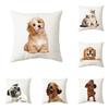 45x45 см чехол для подушки с милым котом, полиэстеровая подушка для кровати, гостиной, дивана, офисного сиденья, автомобиля, детский декор для дома