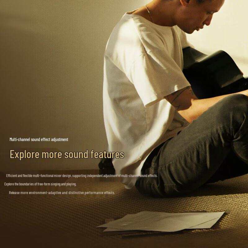 SEE ME HERE 69Rangers D4 Portable Outdoor KTV PA System