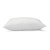 Basic Pillow, Down Alternative, Machine Washable, Large, 2-Pack, 51 X 66 Cm, White