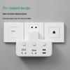 BULL 2-Outlet Converter Plug with 2 USB Ports