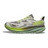 Мужские кроссовки HOKA Clifton 9 GORE-TEX Slate Aloe Vera зеленые 1141470-STLV