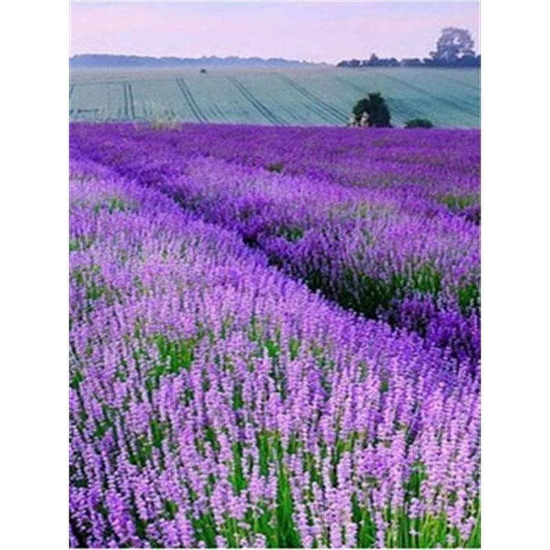 Diamond Painting Lavender Diy Cross Stitch Kit Mosaic Art Diamond Painting Full Circlesquare Diamond Home Decoration