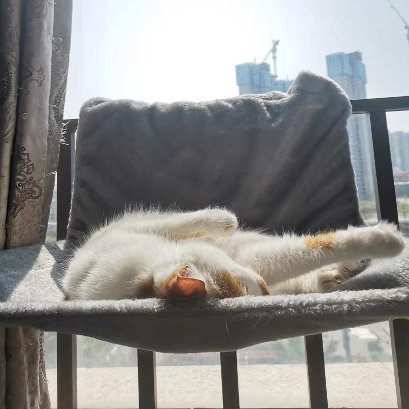 Hanging Cat Bed Removable Cat Hammock Pet Luxury Radiator Beds Nest With Strong Durable Warm Basket Cat Accessories Pet Supplie