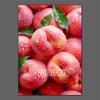 Fruit Diamond Painting Strawberry Lemon Picture Full Diamond Mosaic Cross Stitch Kit Art DIY Kitchen Restaurant Home Decoration
