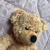 [USED] Steiff Teddy Bear Finn Gold