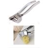 Stainless Steel Garlic Crusher