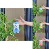 Fluffy Cartoon Bear Keyring Cute Soft Plush Accessory For Bags And Gifts In Colors Various