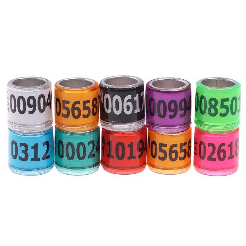 20 шт. Кольцо в виде лапки голубя с серьгами в виде слов 2021 Многоцветные инструменты для птиц