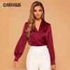 Women's Autumn Fashion New V Neck Long Sleeve Top