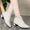 Fashion Summer Short Boots Thin 2025 New Martin Boots Breathable Hollow Boots Women's Single Boots Versatile Chelsea Women's Boots