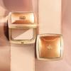 The history of whoo Порошок Cheongidan Hwahyun 12 г (2 цвета)