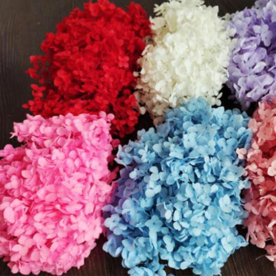 1 коробка цветных сухих цветов, изысканные натуральные реалистичные головки гортензии «сделай сам», свадебные сувениры