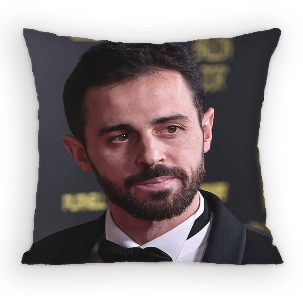 BBernardo SSilva MidCourt Pillow Case Antidustmite Pillowcase Invisible zipper silky short plush Sofa cushion cover